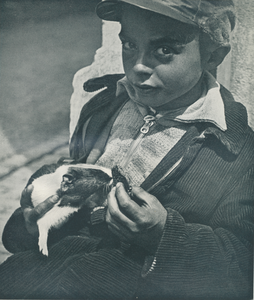 716606 Portret van een jongetje met een tamme rat op de arm, vermoedelijk in de Jordaan te Amsterdam.